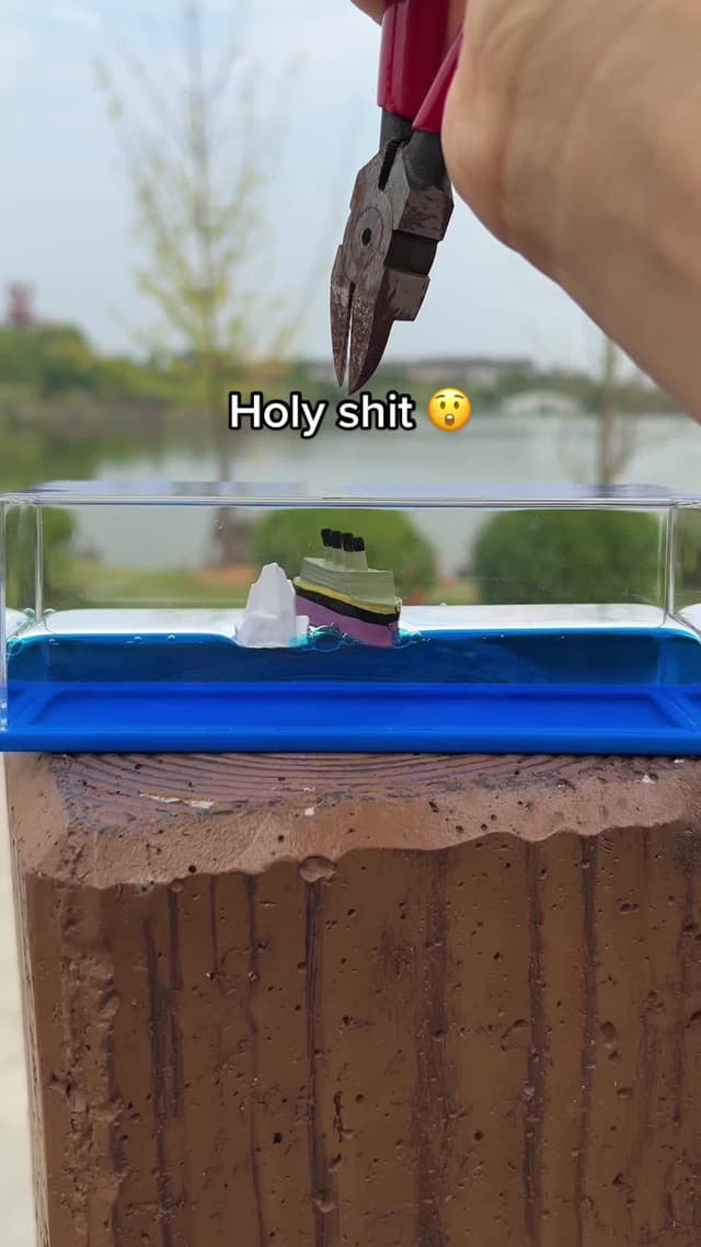 Can you sink it ? Get yours at homepage @luckytoy888 🥰#tiktokmademebuythis #giftidea #funytiktok 
