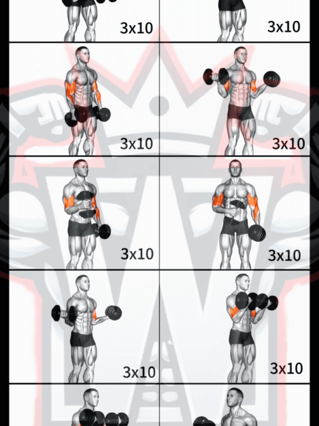 Best Dumbbell Bicep Workout for Bigger Arms | 3x10 Reps Each! 💪🔥  Build Bigger Biceps with Dumbbells!  This video shows you 10 powerful dumbbell bicep exercises — choose any 4–5 of them and perform 3 sets of 10 reps each to create your own workout! Whether it's the Hammer Curl, Concentration Curl, Zottman Curl, Alternating Curl, or Seated Curl, these moves are proven to grow your biceps with just dumbbells. Train consistently, control each rep, and your biceps will explode in size over time. No 